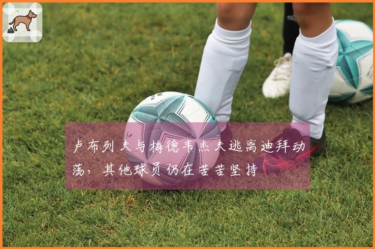 卢布列夫与梅德韦杰夫逃离迪拜动荡，其他球员仍在苦苦坚持