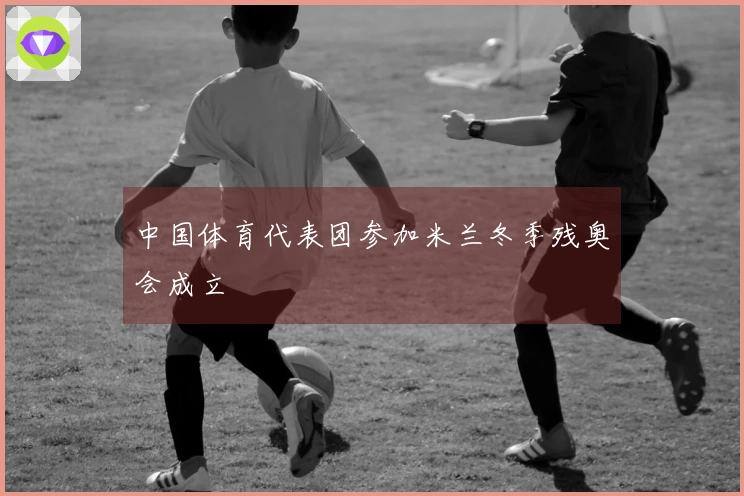 中国体育代表团参加米兰冬季残奥会成立
